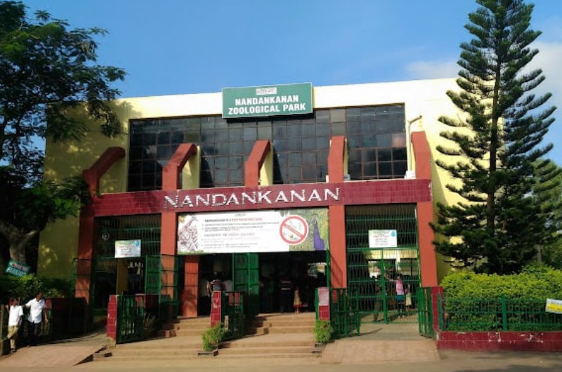Cheap Hotel near Patrapada Bhubaneswar for Nandankanan Visit